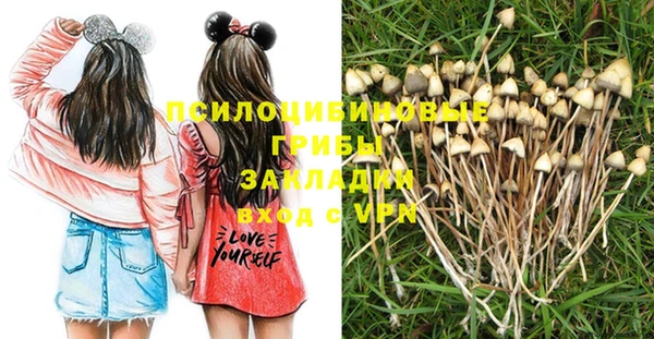 мяу мяу кристалл Корсаков