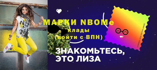 тгк Вяземский