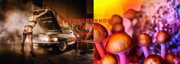 марки lsd Коряжма