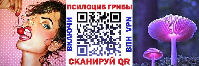 MEGA ONION  закладки  Почеп  Псилоцибиновые грибы Psilocybe 