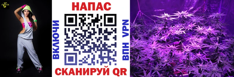 Бошки Шишки SATIVA & INDICA  МЕГА зеркало  это Telegram  Почеп 